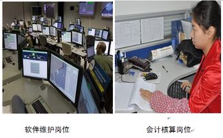 湖南商务职业技术学院会计信息管理专业介绍